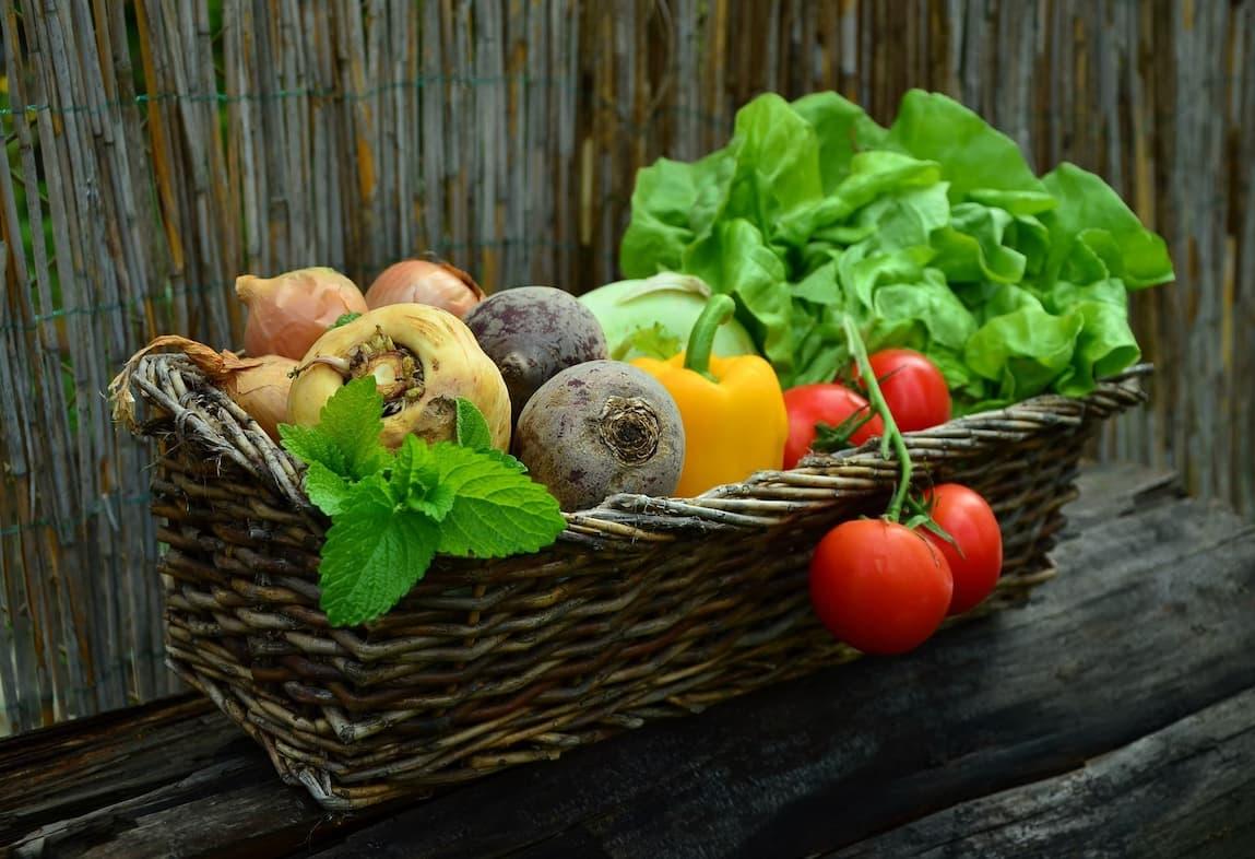 Project Fresh Start - Free and Fresh Food